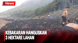 Kebakaran di Gunung Gede Pangrango Berhasil Dipadamkan 