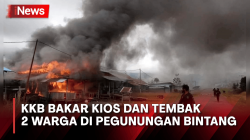 Berulah Lagi, KKB Bakar Kios dan Tembak 2 Warga di Pegunungan Bintang