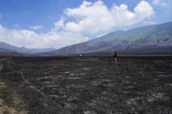 Wisata Gunung Bromo Dibuka, Pengunjung Disuguhkan Bukit Teletubbies yang Hangus