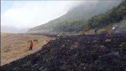 Kebakaran di Alun-alun Suryakencana Gunung Gede Cianjur Padam, 3 Hektare Hangus