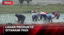 Rencana Pembangunan Pengolahan Sampah Ditolak Petani di Rorotan