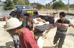 Gunungkidul Geger, 2 Pencuri Kambing Babak Belur Dihajar Massa