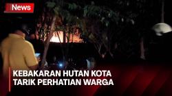Kebakaran Hutan Kota Ujung Menteng Tarik Perhatian Warga
