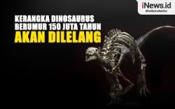 Infografis Kerangka Dinosaurus Berumur 150 Juta Tahun Akan Dilelang di Paris