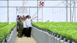 Jokowi Tinjau Persemaian Mentawir di Kaltim: Ini Komitmen Kita pada Lingkungan