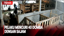Komplotan Pencuri Puluhan Domba Beraksi Ala Ninja di Cianjur Ditangkap<