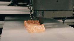 Australia Jual Daging Salmon Sintetis Hasil Printer 3D, Bisa Dikonsumsi Konsumen