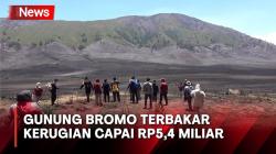 Dampak Kebakaran Gunung Bromo 504 Hektare Lahan Terbakar, Kerugian Capai Rp5,4 Miliar