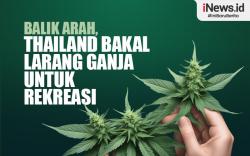 Infografis Balik Arah, Thailand Bakal Larang Ganja untuk Rekreasi