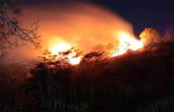 2 Hutan di Lereng Gunung Gambar Gunungkidul Terbakar