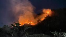 Gunung Jayanti Sukabumi Terbakar Hebat, Api Terus Membesar hingga Malam Hari<