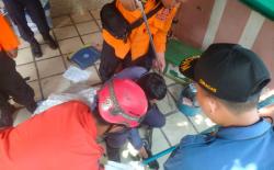 Ngeri, Warga Bogor Panik Temukan Induk dan Anak Ular Kobra di Tumpukan Barang Bekas
