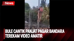  Viral!  Bule Cantik Panjat Pagar Bandara Ngurah Rai Bali