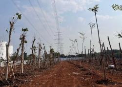 Tempuh Pendekatan Humanis, JIEP Kembalikan Fungsi Hutan Kota Kawasan Industri Pulogadung