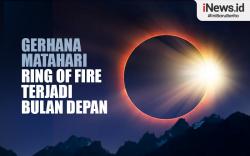Infografis Gerhana Matahari Ring of Fire Bakal Terjadi Bulan Depan 