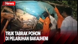 Diduga Rem Blong, Truk Tabrak Pohon di Pelabuhan Bakauheni