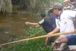 Cari Kangkung, Pria di Mamuju Tengah Tewas Diterkam Buaya