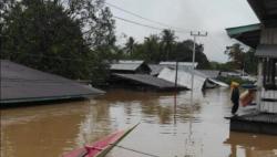 Banjir Kiriman dari Malaysia Rendam 10 Kecamatan di Nunukan, Air Nyaris Setinggi Atap Rumah<