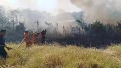 Lahan 10 Hektare Dekat Perumahan Mewah Kota Cirebon Terbakar, Warga Panik<
