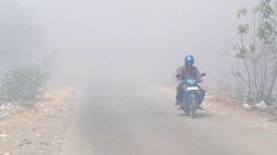 Api di TPA Kopi Luhur Cirebon Kembali Berkobar, Petugas Kesulitan Kendalikan Situasi<