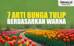 Infografis 7 Arti Bunga Tulip Berdasarkan Warna
