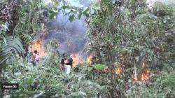 Kebakaran di Gunung Bombo Polewali Mandar, Api Dekati Permukiman Warga
