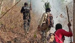 Cegah Kebakaran Taman Nasional Baluran Meluas, Petugas Buat Ilaran Api