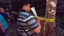Batanghari Gempar, Mayat Pria Ditemukan di Kebun Karet Diduga Korban Pembunuhan