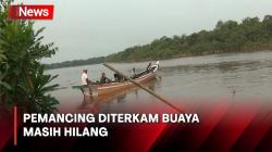 Pemancing Diterkam Buaya, Korban Masih Hilang di Sungai Banyuasin