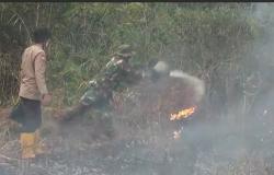 4 Hari Terbakar, Lahan Gambut di Palembang Sulit Dipadamkam 
