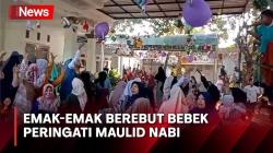 Emak-Emak Berebut Bebek dan Alat Dapur Peringati Maulid Nabi di Madura