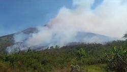 Kebakaran di Lereng Gunung Agung Landa Kawasan Hutan Lindung 