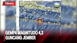  Pagi Ini, Gempa Magnitudo 4,3 Guncang Jember 