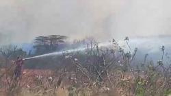 Lahan BIJB Kertajati Majalengka Terbakar, Petugas Damkar Berjibaku Padamkan Api<