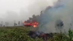 Kebakaran Lahan di Palangka Raya Merembet ke Permukiman, 1 Rumah Gosong Jadi Arang<