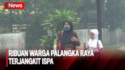  Hirup Kabut Asap, 9.599 Warga Palangka Raya Terjangkit ISPA