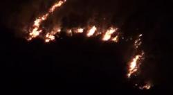 Hutan Gunung Lawu Kembali Terbakar, Ratusan Personel Dikerahkan Padamkan Api