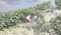 Bekasi Geger, Mayat Pria Ditemukan Mengapung di Sungai Kalimalang<