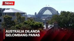 Australia Terancam Kebakaran Hutan Akibat Perubahan Cuaca El Nino