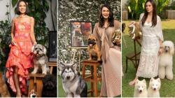 Intip 5 Gaya OOTD Artis Pemotretan Bareng Anjing, Ada Luna Maya hingga Wulan Guritno