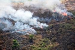 Karhutla akibat Dibakar Penduduk Buka Lahan di Desa Carangwulung Jombang