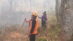 Kebakaran Lahan di Lereng Gunung Agung, BPBD Bali Catat Sudah Capai 1.000 Hektare  