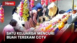 Viral! Satu Keluarga Kompak Curi Buah untuk Maulid Nabi di Pangkep