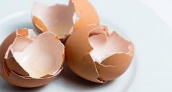 Viral Cangkang Telur Dijadikan Tambahan Protein pada Makanan, Apa Manfaatnya?