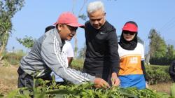 Ganjar dan Siti Atikoh Jalan Pagi, Berbincang dengan Petani Teh di Cianjur