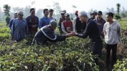 Ganjar Pranowo Sebut Potensi Teh Indonesia Sangat Luar Biasa dan Harus Dikembangkan<