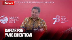  Sejumlah Proyek Strategis Nasional Dihentikan, Airlangga Beberkan Daftarnya