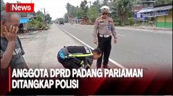 Anggota DPRD Padang Pariaman Ditangkap, Diduga Tabrak Lari Bocah hingga Tewas