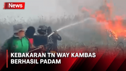 Kebakaran Kawasan TN Way Kambas Padam, Petugas Masih Berjaga di Lokasi
