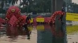 Sempat Ditangkap, Aktivis Greenpeace Bawa Gurita ke Kolam Bundaran HI Dipulangkan